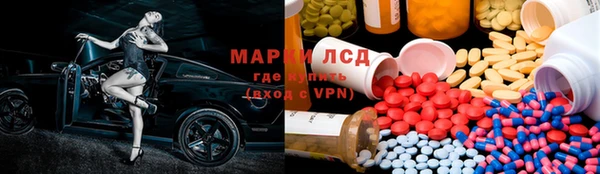 стаф Бородино