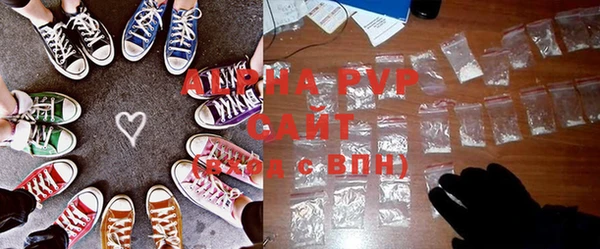 стаф Бородино