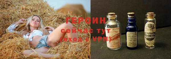 стаф Бородино